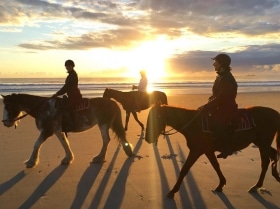 Horse Riding Byron Bay Aabis At Byron